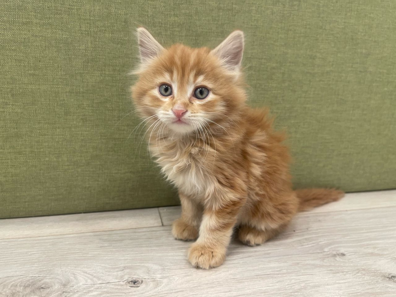 Whatsapp Image 2025 05 12 At 7.30.29 Pm Min