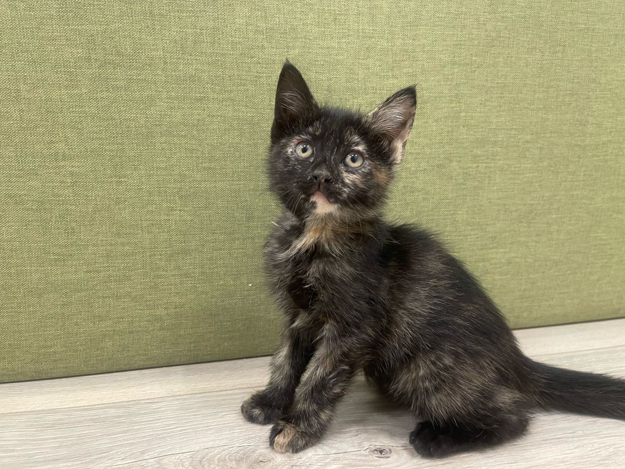 Whatsapp Image 2025 05 12 At 7.30.33 Pm Min