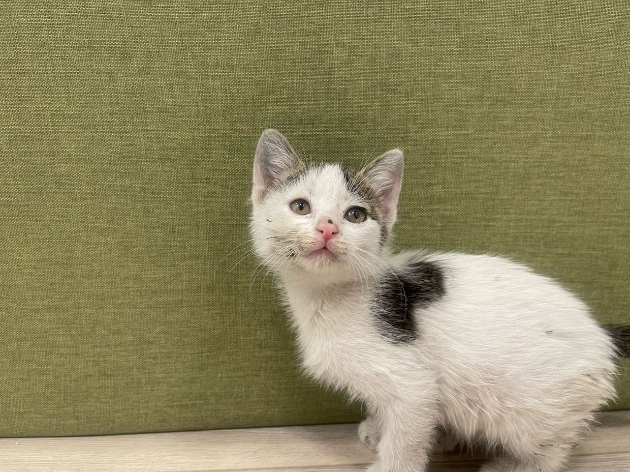 Whatsapp Image 2025 05 12 At 7.30.35 Pm Min