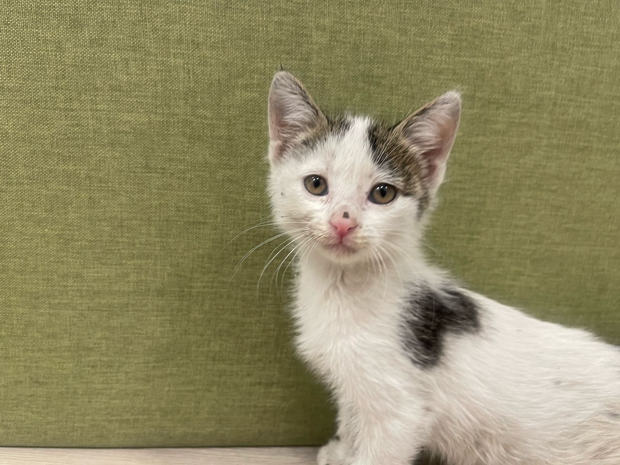 Whatsapp Image 2025 05 12 At 7.30.36 Pm Min